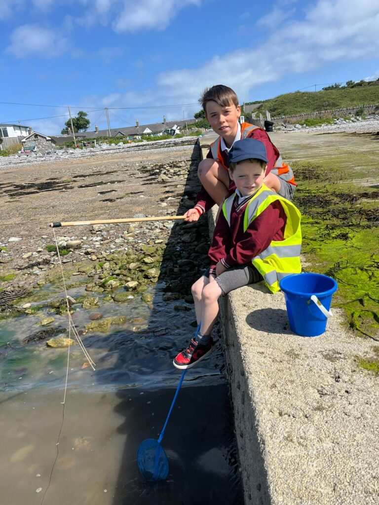 f38c35fa-1862-4625-935c-7bcf89cebc2e